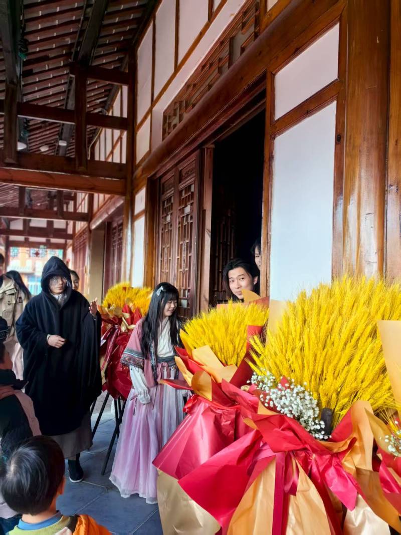 泰顺县文旅项目策划